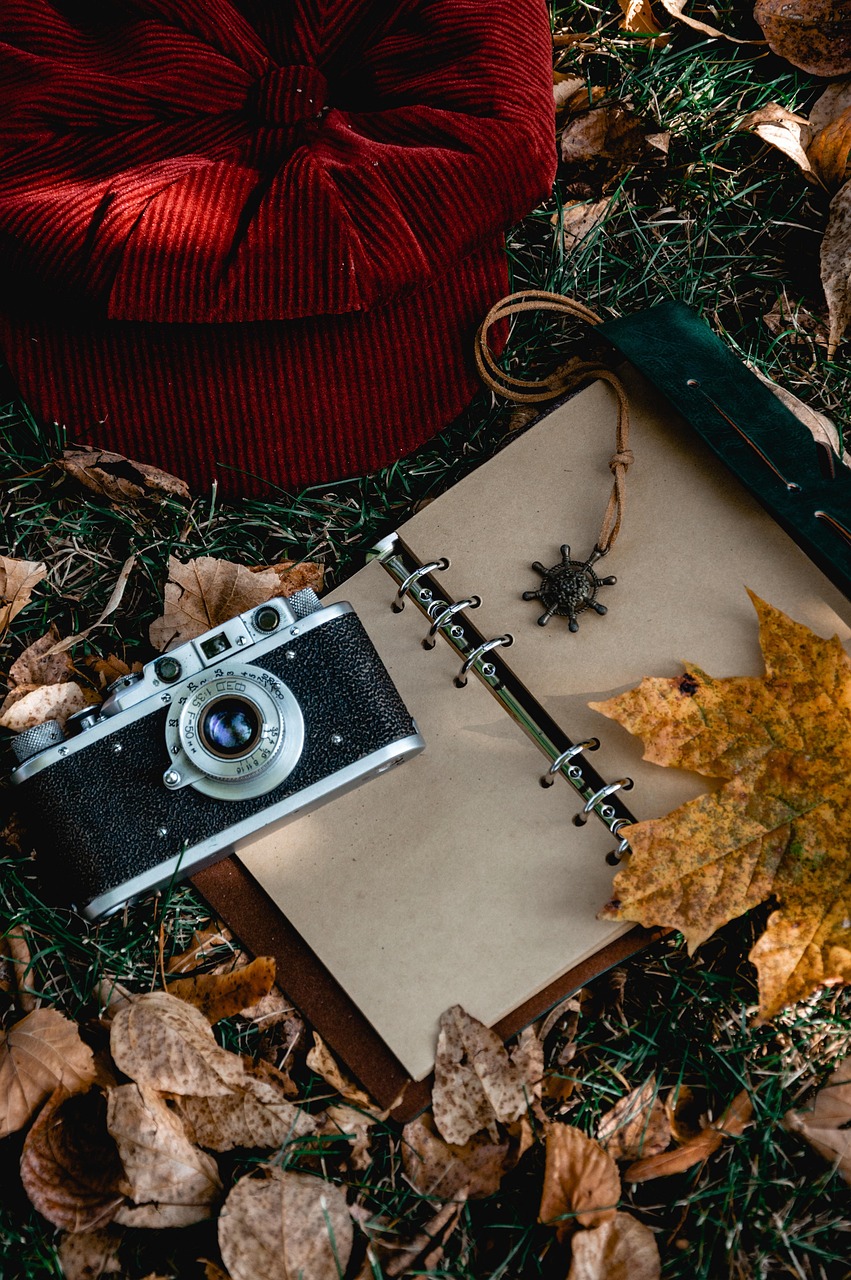 camera, hat, fallen leaves, retro, autumn, lawn, notebook, still life, vintage, retro camera, object shooting, autumn mood, cap, details, retro, retro, retro, retro, retro, autumn, autumn, notebook, still life, still life, still life