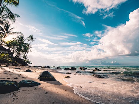 Experience the serene beauty of a tropical beach in RAAS, Nicaragua, with palm trees and ocean waves.